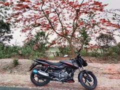 Bajaj Pulsar 150